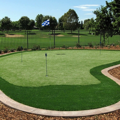 Golf Putting Greens Oak Forest Illinois Artificial Grass