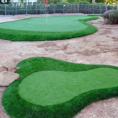 Golf Putting Greens Wilmette Illinois Fake Grass Back Yard