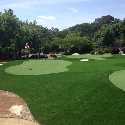 Putting Greens Evanston Illinois Artificial Turf Back Yard