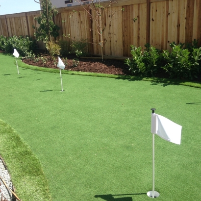 Putting Greens Skokie Illinois Artificial Turf Front Yard