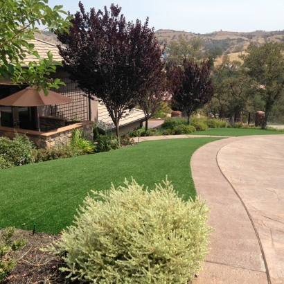 Synthetic Grass Berkeley Illinois Lawn Front Yard