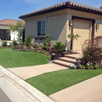 Synthetic Grass Chicago Ridge Illinois Landscape