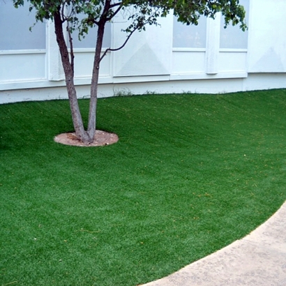 Synthetic Grass Lynwood Illinois Lawn