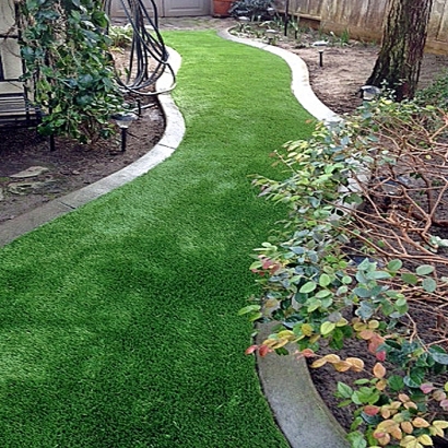 Synthetic Grass Mettawa Illinois Landscape Back Yard