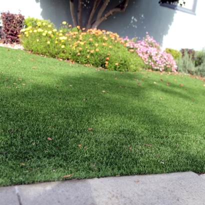 Synthetic Grass Naperville Illinois Lawn Back Yard