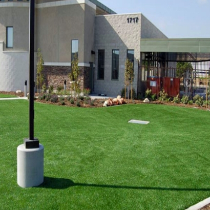 Synthetic Grass Northfield Illinois Landscape Commercial