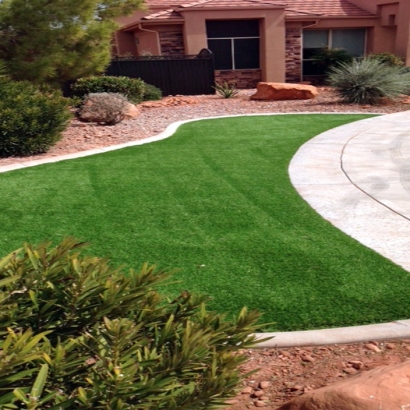 Synthetic Grass Palos Hills Illinois Lawn Back Yard