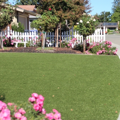 Synthetic Grass Tinley Park Illinois Landscape