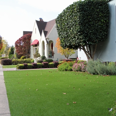 Synthetic Grass Warrenville Illinois Lawn Back Yard