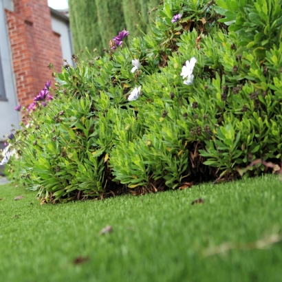 Synthetic Turf Buffalo Grove Illinois Lawn Back Yard