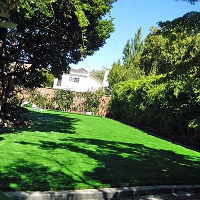 Synthetic Turf Burbank Illinois Landscape Back Yard