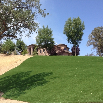 Synthetic Turf Calumet Park Illinois Lawn Front Yard