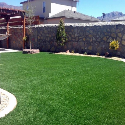 Synthetic Turf Clarendon Hills Illinois Landscape