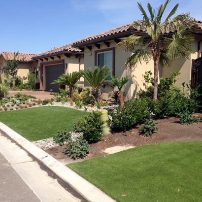 Synthetic Turf Glencoe Illinois Landscape Back Yard