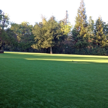 Synthetic Turf Hillside Illinois Lawn Front Yard