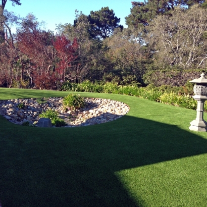 Synthetic Turf Hometown Illinois Landscape