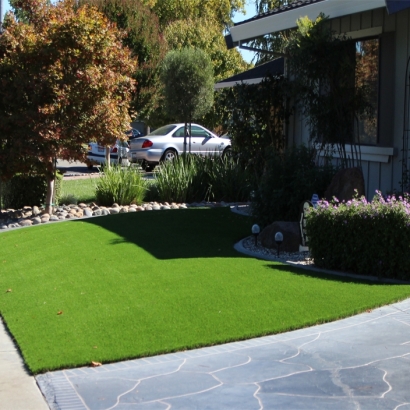 Synthetic Turf Homewood Illinois Landscape Front Yard