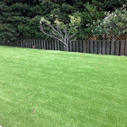 Synthetic Turf Northbrook Illinois Landscape Back Yard