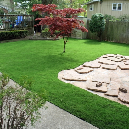 Synthetic Turf Palos Park Illinois Landscape