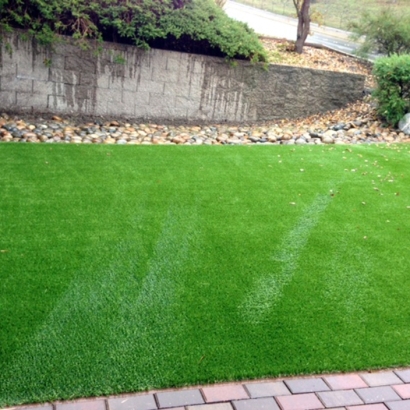 Synthetic Turf Richton Park Illinois Lawn Front Yard