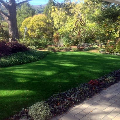 Synthetic Turf Roselle Illinois Landscape Back Yard