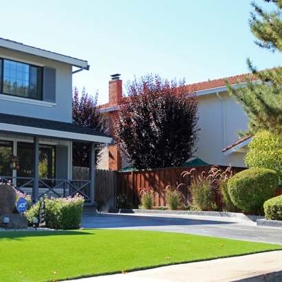 Synthetic Turf South Chicago Heights Illinois Landscape