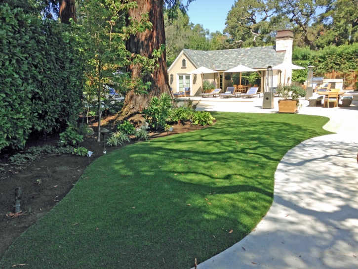 Artificial Grass Berkeley Illinois Landscape Recreational