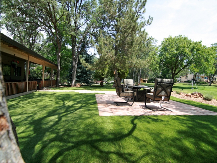 Artificial Grass Broadview Illinois Landscape Back Yard