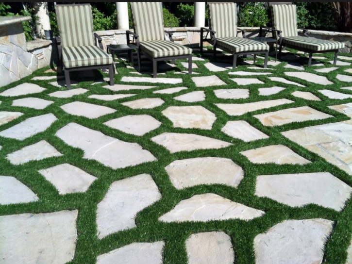 Artificial Grass Crete Illinois Landscape Back Yard