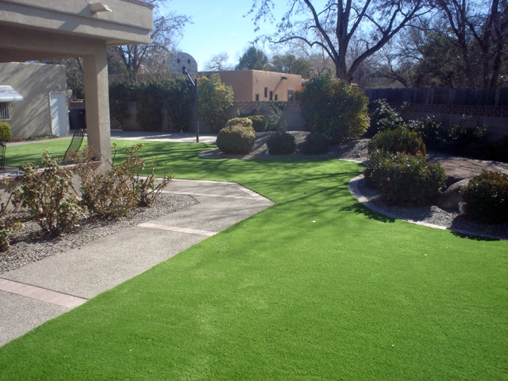 Artificial Grass Elmwood Park Illinois Landscape