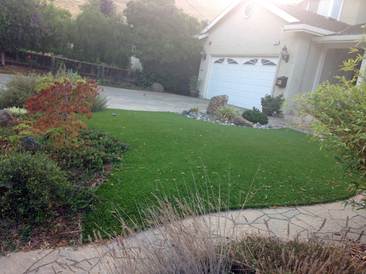 Artificial Grass Griffith Indiana Landscape Commercial