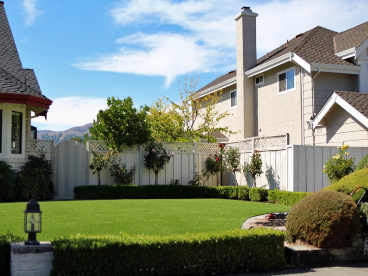 Artificial Grass Hammond Indiana Lawn Front Yard