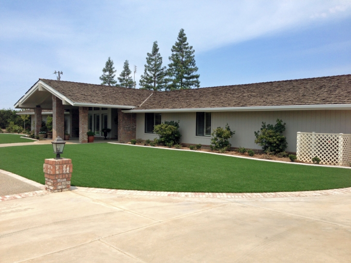 Artificial Grass Hillside Illinois Landscape Front Yard