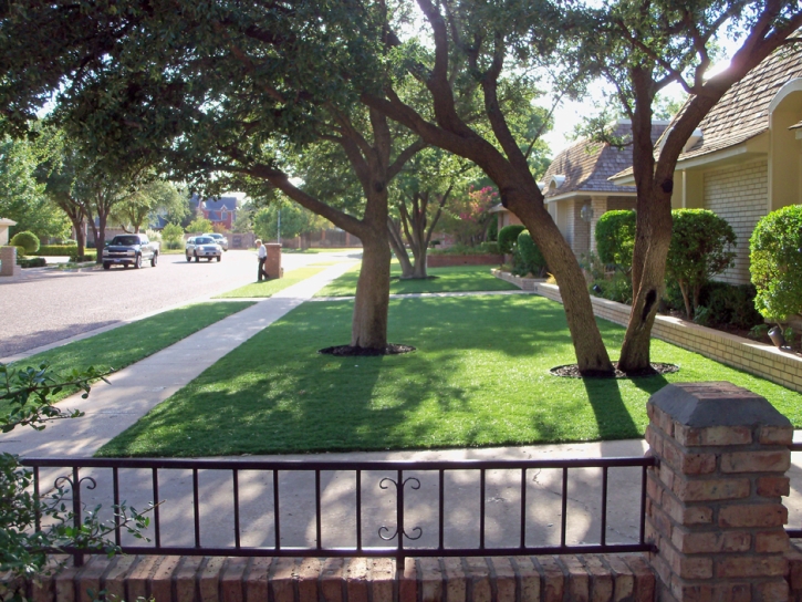 Artificial Grass Hinsdale Illinois Lawn