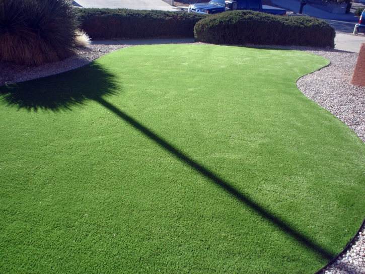 Artificial Grass Indian Head Park Illinois Lawn Back Yard