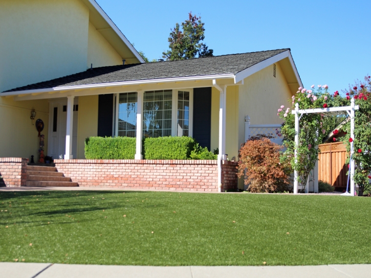 Artificial Grass Ingalls Park Illinois Landscape Pools