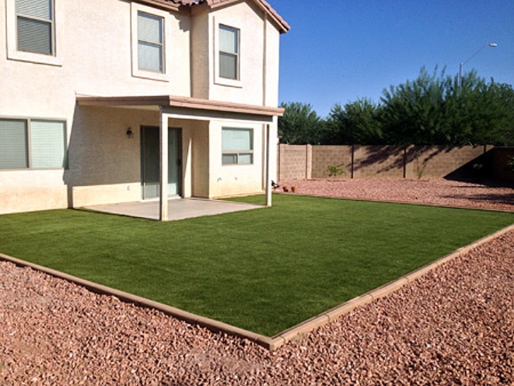 Artificial Grass Inverness Illinois Landscape Back Yard