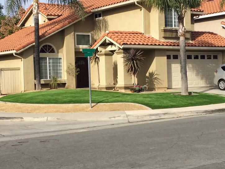 Artificial Grass Long Grove Illinois Landscape Back Yard