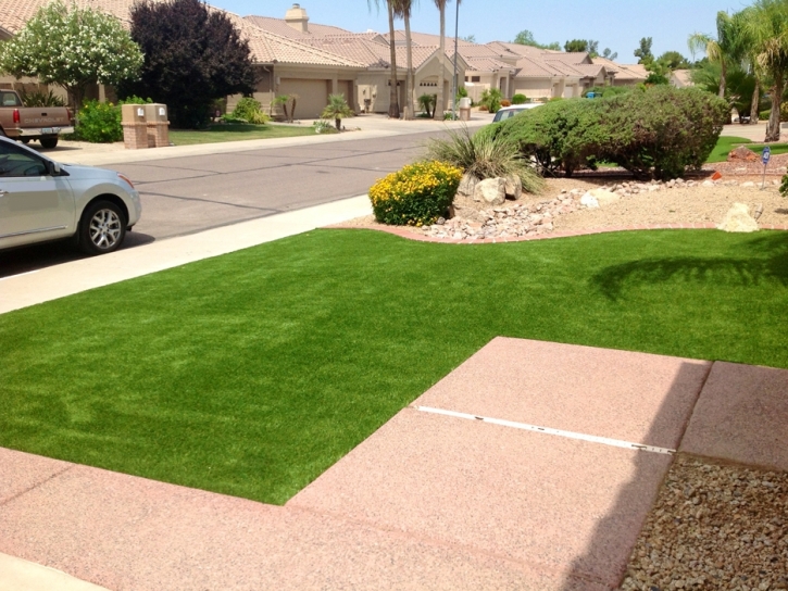 Artificial Grass Orland Hills Illinois Lawn Pavers Back