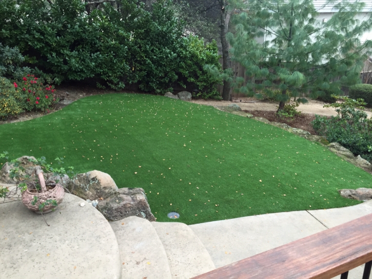 Artificial Grass Portage Indiana Landscape