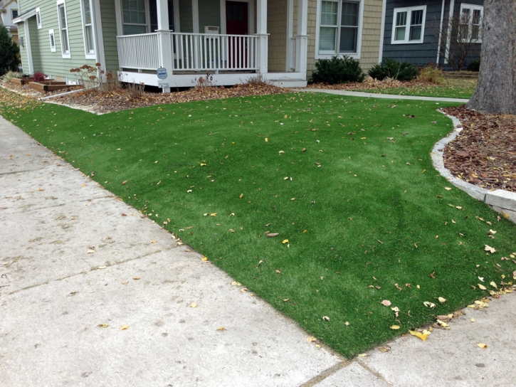 Artificial Grass Prospect Heights Illinois Landscape