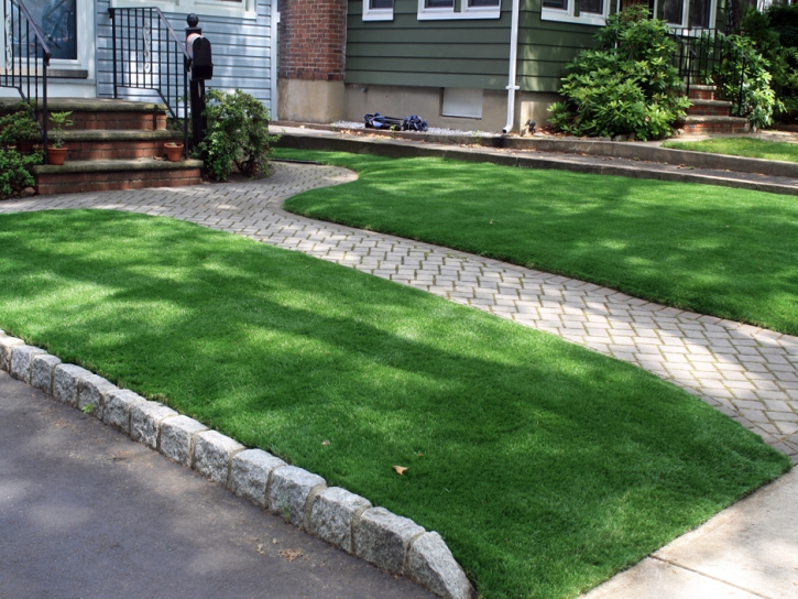 Artificial Grass Robbins Illinois Landscape Back Yard