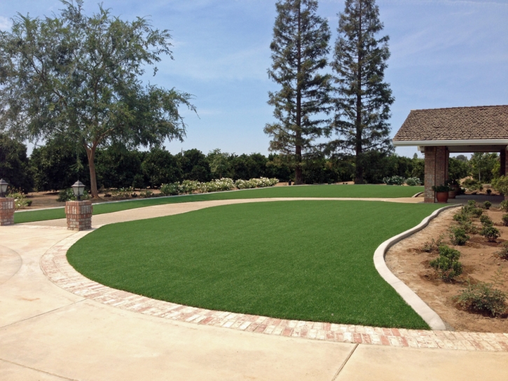 Artificial Grass Villa Park Illinois Lawn Back Yard