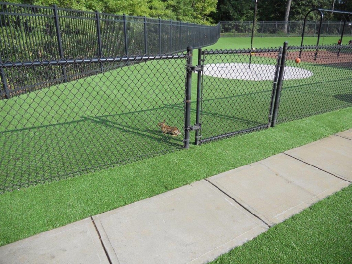 Artificial Grass Worth Illinois Kindergarten Front Yard