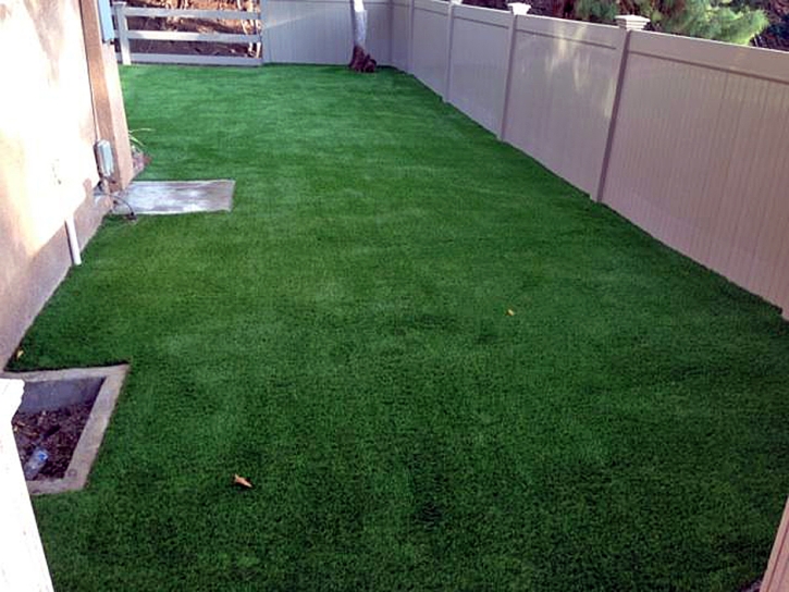 Artificial Pet Grass Palatine Illinois Installation Front