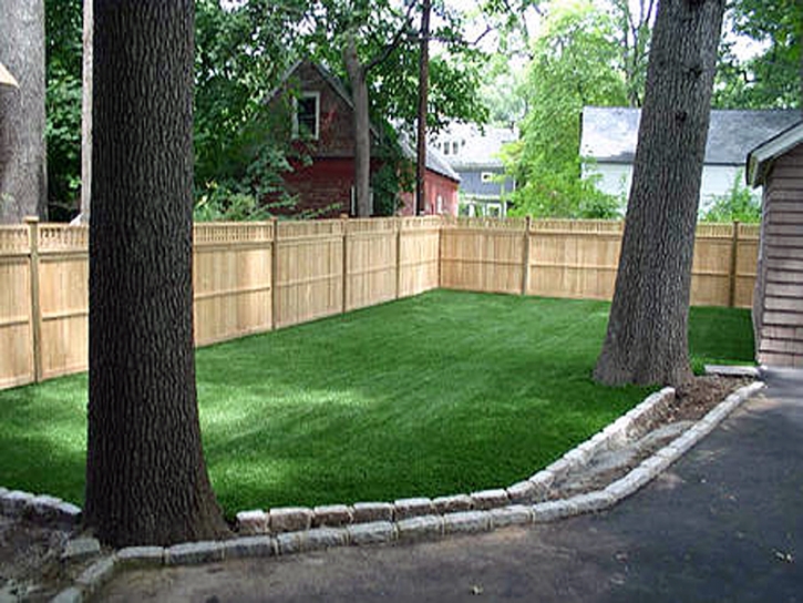 Artificial Pets Areas South Holland Illinois Installation