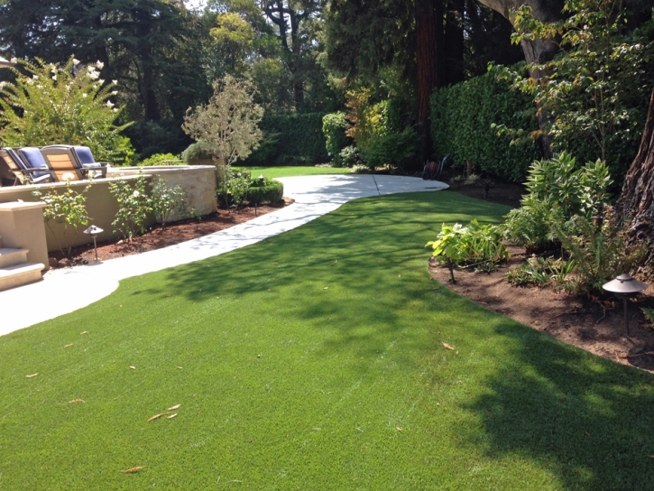 Artificial Turf Berkeley Illinois Lawn Front Yard