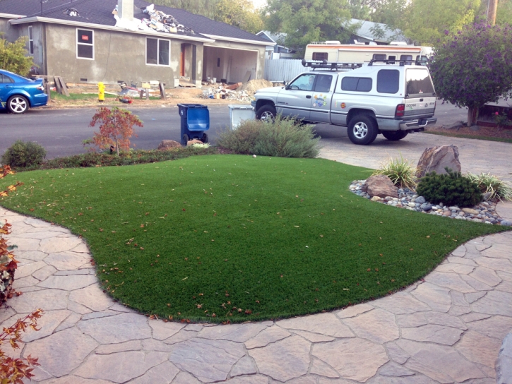 Artificial Turf Bloomingdale Illinois Landscape