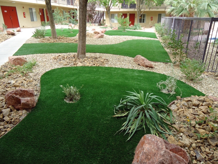 Artificial Turf Burr Ridge Illinois Landscape Back Yard