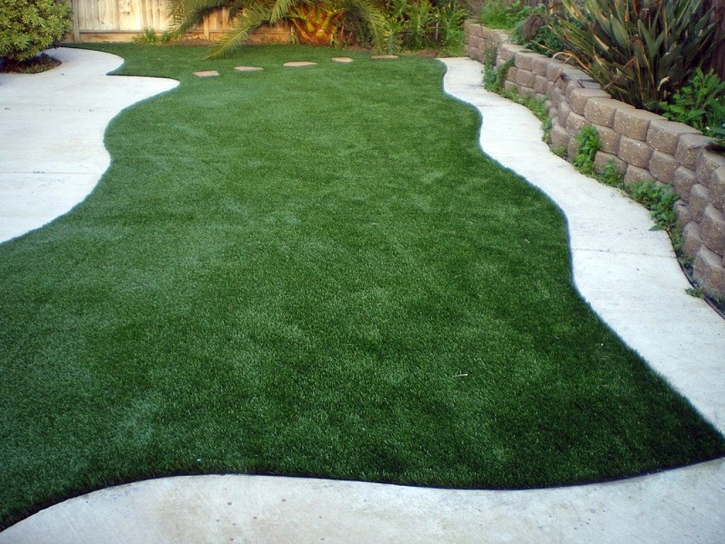 Artificial Turf Darien Illinois Lawn Back Yard